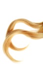 Piece of blond hair with two curls isolated