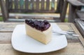Piece of blueberry cheesecake. Royalty Free Stock Photo