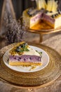 Piece of blueberry cheesecake Royalty Free Stock Photo