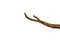 Piece of branches of driftwood tree isolated on white background with clipping path Royalty Free Stock Photo