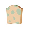 Piece of bread with mold isolated. Foul food vector illustration