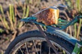 Piece of bread on the trunk of an old bicycle. food and transport. poverty and survival in poor conditions