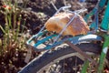 Piece of bread on the trunk of an old bicycle. food and transport. poverty and survival in poor conditions