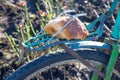 Piece of bread on the trunk of an old bicycle. food and transport. poverty and survival in poor conditions