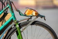 Piece of bread on the trunk of an old bicycle. food and transport. poverty and survival in poor conditions