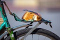 Piece of bread on the trunk of an old bicycle. food and transport. poverty and survival in poor conditions