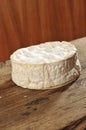 A piece of Brie / Camembert soft cheese