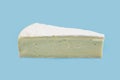 Piece of brie cheese Isolated on blue background. Side view Royalty Free Stock Photo