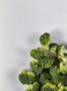 Chunked of broccoli for photography purposes as food background