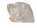 A piece of bubble-bursting plastic protective cellophane for packaging, isolated on a white background