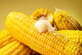 Piece of butter on a ripe boiled cob of corn Royalty Free Stock Photo