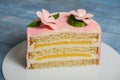 Fresh and sweet dessert cakes slice of delicious cake One piece of cake. sweet dessert on wooden background.