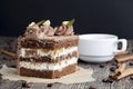 a piece of cake made of chocolate sponge cake cream and caramel with hazelnuts Royalty Free Stock Photo