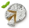 Piece of camembert cheese