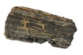 Piece of carbonized wood from Isle of Wight