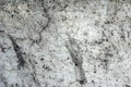 Aged damaged cement texture background