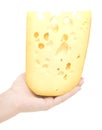 Piece cheese Royalty Free Stock Photo