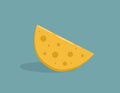 Piece of cheese, flat design style icon, vector illustration