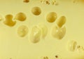 Piece of cheese texture Royalty Free Stock Photo