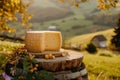 A piece of cheese sits atop a tree stump, showcasing the contrasting textures of nature and food, Artisan Swiss cheese wheel in a