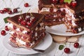 Piece of cherry cake with chocolate horizontal Royalty Free Stock Photo