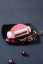 Piece of Cherry Lychee and Pistachio Yule Log Cake Royalty Free Stock Photo