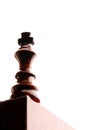 Piece of chess Royalty Free Stock Photo