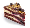 Piece of chocolate and blackcurrant cake