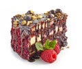 Piece of chocolate and blackcurrant cake