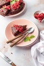 A piece of chocolate cake brownie decorated with red currant berries and mint on white marble table Royalty Free Stock Photo