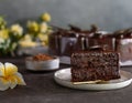 Piece Of Chocolate Cake Dessert Treats