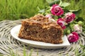 Piece of chocolate cake at garden party. Beautiful lush pink roses Royalty Free Stock Photo