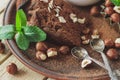 Piece of chocolate cake, mint leaves, hazelnuts and jar with milk Royalty Free Stock Photo