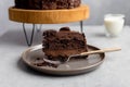 Piece of chocolate cake on plate with fork on gray background Royalty Free Stock Photo