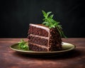 a piece of chocolate cake on a plate with a sprig of mint