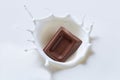A piece of chocolate falling into the milk with a splash in the Royalty Free Stock Photo