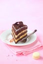 Piece of Chocolate Layer Cake with Meringue and Passionfruit Curd Royalty Free Stock Photo