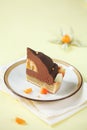 Piece of Chocolate, Mango and Macadamia Cake Royalty Free Stock Photo