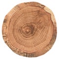 Piece of circular wood cross section with tree growth rings. Oak tree slice texture isolated on white background Royalty Free Stock Photo