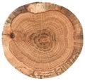 Piece of circular wood cross section with tree growth rings. Oak tree stump texture isolated on white background