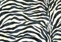 Piece of cloth painted zebra background