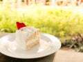 A piece of coconut cake on plate with green garden background Royalty Free Stock Photo
