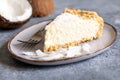 Piece of coconut cheesecake on a plate with fresh coconut Royalty Free Stock Photo