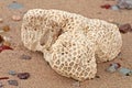 A piece of coral on the beach Royalty Free Stock Photo