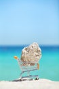 Piece of a coral in shopping cart miniature on a beach. Royalty Free Stock Photo