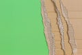 Piece of corrugated cardboard with torn paper edge on green background Royalty Free Stock Photo