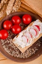 Piece of crispy bread with harvested tomatoes Royalty Free Stock Photo