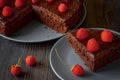 A piece of dark chocolate muffin lies on a gray plate