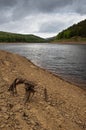 A piece of dead driftwood on the shore of Derwent reservoir, with Howden dam in the distance