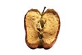 A piece of decayed apple, set apart against a white backdrop. Royalty Free Stock Photo